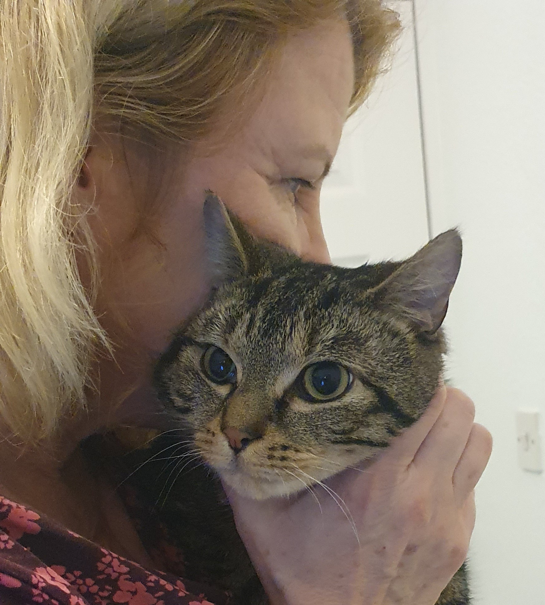 An image of Bear being comforted by Karen