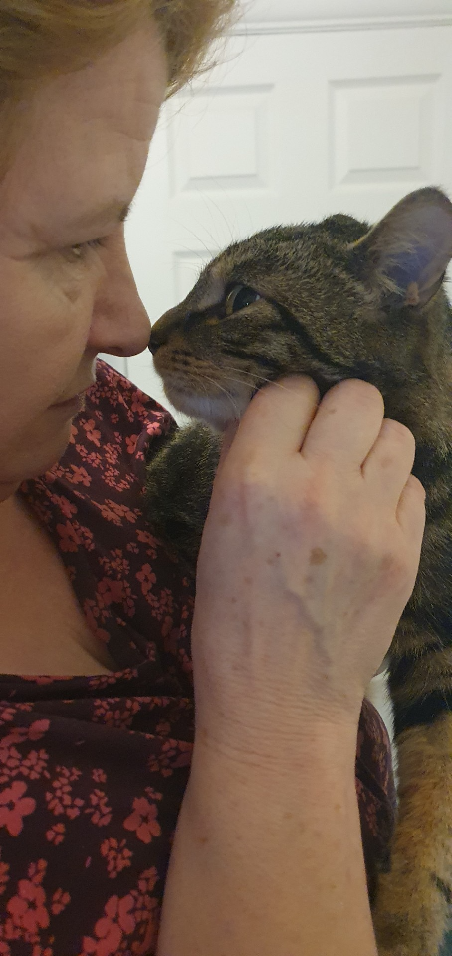 An image of Bear being comforted by Karen